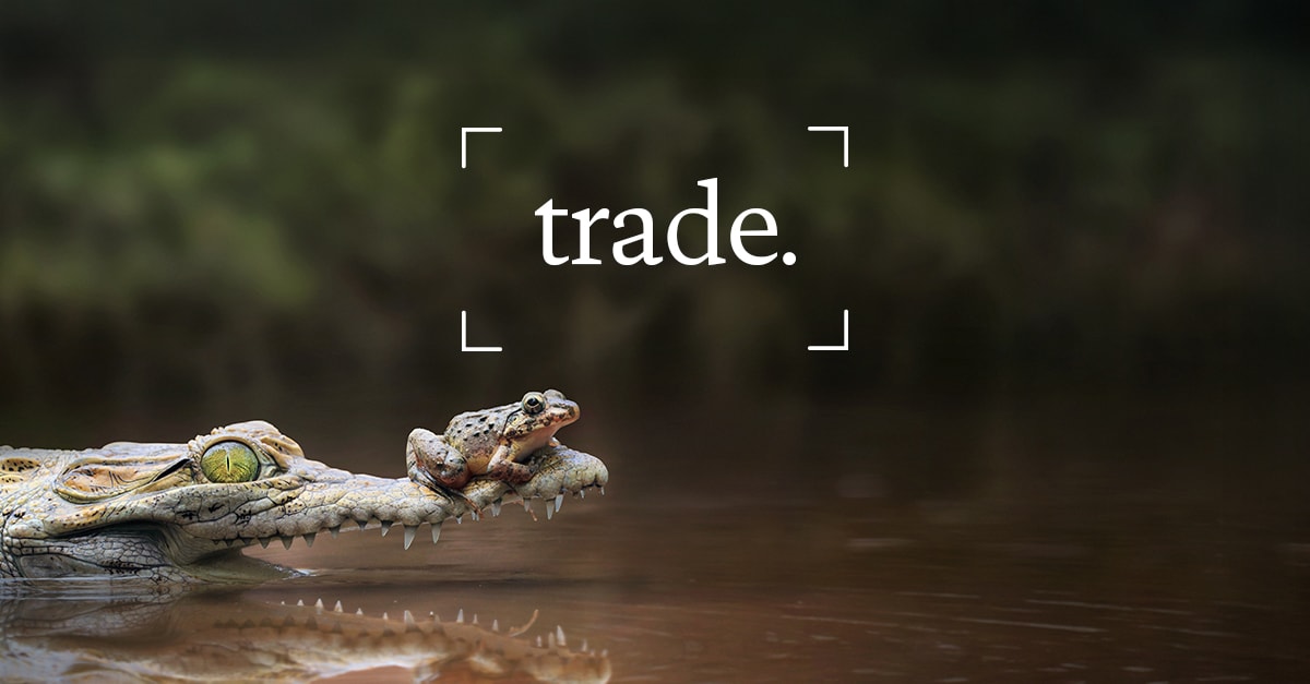 Trade and the new investment cycle | Lombard Odier