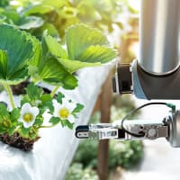 The Future of Work
