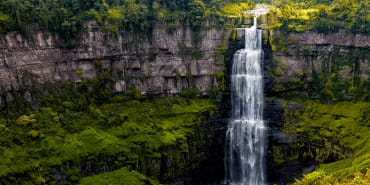 COP16 – à quoi doivent s’attendre les chefs d’entreprise ?