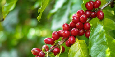 nature: upending extractive approaches