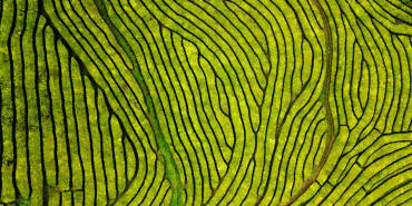 hedge funds: avoiding the crowds