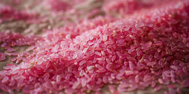 Pink rice serves up alternative to carbon-intensive meat
