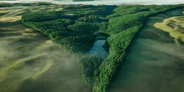 Der rasche Aufstieg naturbasierter Anlagelösungen
