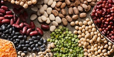 food systems.