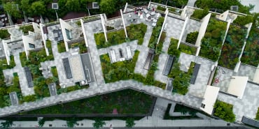 In che modo le aziende guidano la transizione