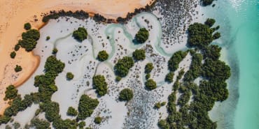 Lombard Odier survey: Next Gen HNWIs go “all in” on Islamic and Sustainable Assets