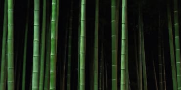 Decarbonisation in an urban world: the low-carbon materials that could slash construction emissions