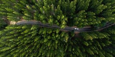 Luxus-Automarken sind Vorreiter bei nachhaltigeren Innenräumen