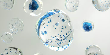 Green hydrogen: government lays down challenge for French industry