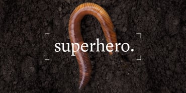 Suolo: il supereroe dimenticato del sistema alimentare
