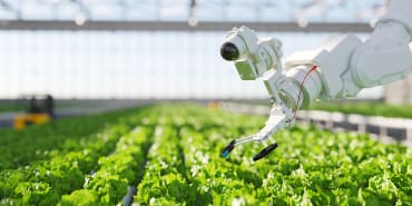 The CLIC® Chronicles: welcome to the future of agricultural technology