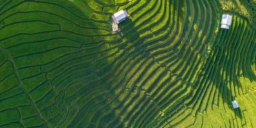 Thailand tackles Sustainability with Carbon Credits