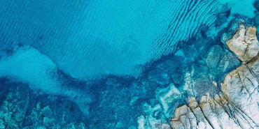 Alphorum: transition states in fixed income