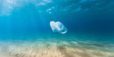 Plastica: inquinamento, politiche e potenzialità d’investimento