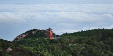The ascent of China’s national Emissions Trading Scheme