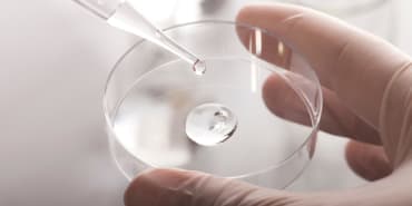 Plastic wrap: biotransformation, bans on waste exports and a landmark lawsuit