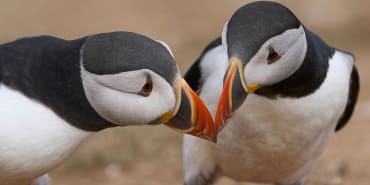 Sustainability watch: loss and damage fund, offshore wind, and cleantech