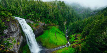 The TNFD: bringing nature onto the balance sheet 