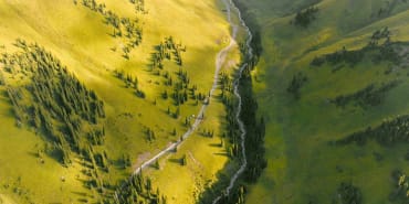 The TNFD: a framework for nature-positive investing