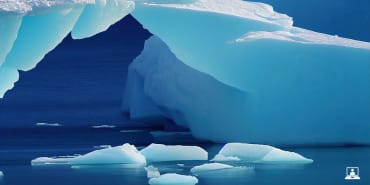 Webinar | rethink net zero: investing in the transition