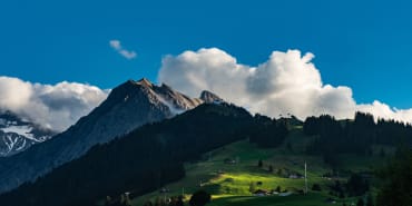 Swiss Climate Scores 