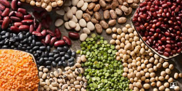 Green Series Webinar: New Food Systems