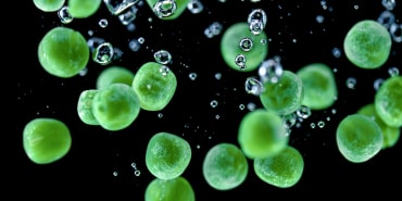 LOIM New Food Systems wird ein Jahr alt