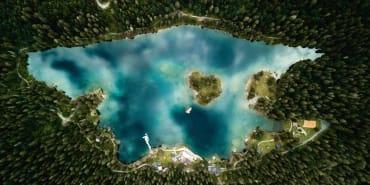 Carbon credits: reinforcing quality for impact and returns