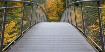 Engaging with aluminium on net zero and biodiversity