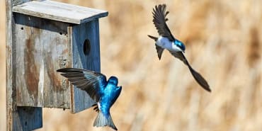 CIO views: what about an outlier scenario?