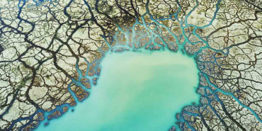 Rischio climatico e opportunità per settore e area geografica