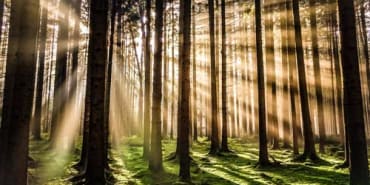 Webinar | Investment Implications of a Greening World