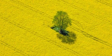 Qualität wird im Gerangel zwischen Substanz und Wachstum den Ausschlag geben