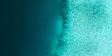 Alphorum: think fallen angels for attractive high-yield convexity