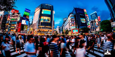 Digitalisation and long term trends