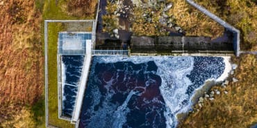 Pandemic impact on credit: default risk