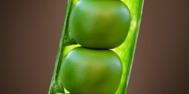New Food Systems