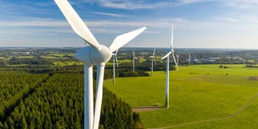 Global Carbon Opportunity
