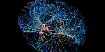 Opportunities, limits and ethical issues: what scenarios for AI in 2025?