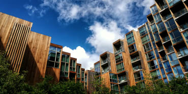 Construire vert : comment le bois d’ingénierie transforme l’architecture durable