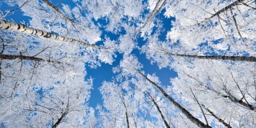 Alignement optimal des portefeuilles sur les objectifs « net-zéro »