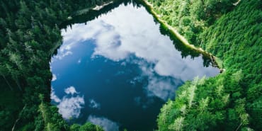 How can the net-zero theme add value for investors?