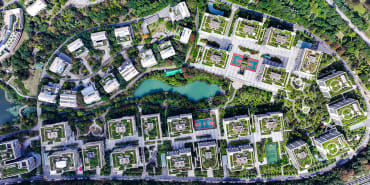 Building bio-cities – investing in nature to transform our urban landscapes