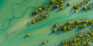 sustainable equities: the most vulnerable can become the most attractive