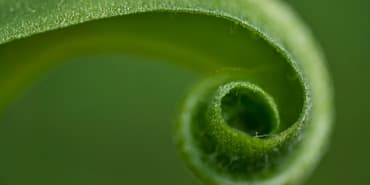 a sustainable economy through systems change.