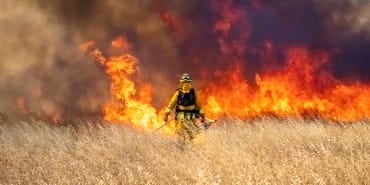 Prédire les flammes : comment l’IA révolutionne la lutte contre les incendies de forêt