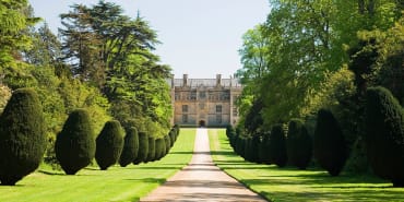Investing in luxury assets: watches, wine and real estate for passion, prestige and portfolio diversification