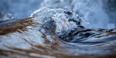 Nature-positive investments gain traction