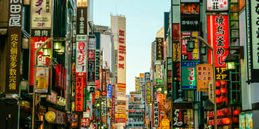 Land of the rising yield: Japan's capital shift 