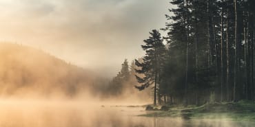 Forward thinking in net-zero investing: four myths debunked